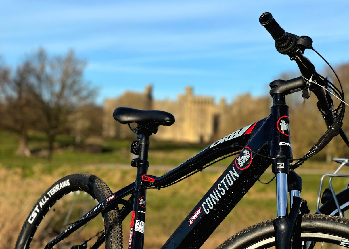 Dallingridge Coniston Black/Red - 14Ah 36V - Sable and Grace LTD.