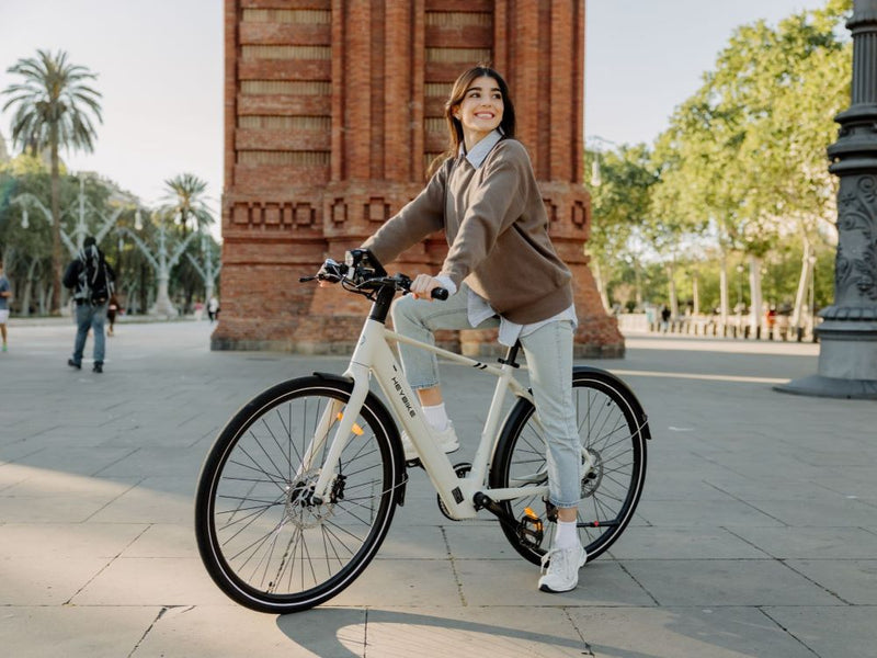 Heybike EC 1 Commuter E-Bike Top Speed 15.5mph | up to 100km Range | 250W Power| 10.0 Ah