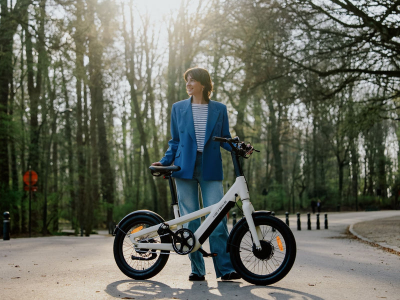 110km range folding e-bike