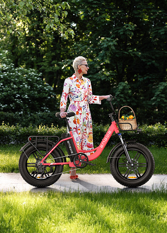 ENGWE L20 Step-Thru Electric Bike – 250W Motor, 13Ah Battery, 140km Range, 25km/h Speed
