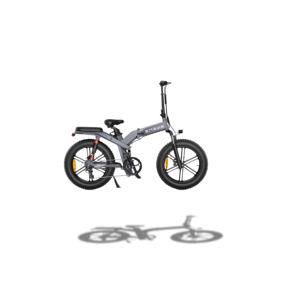 45 km/h ebike dual battery