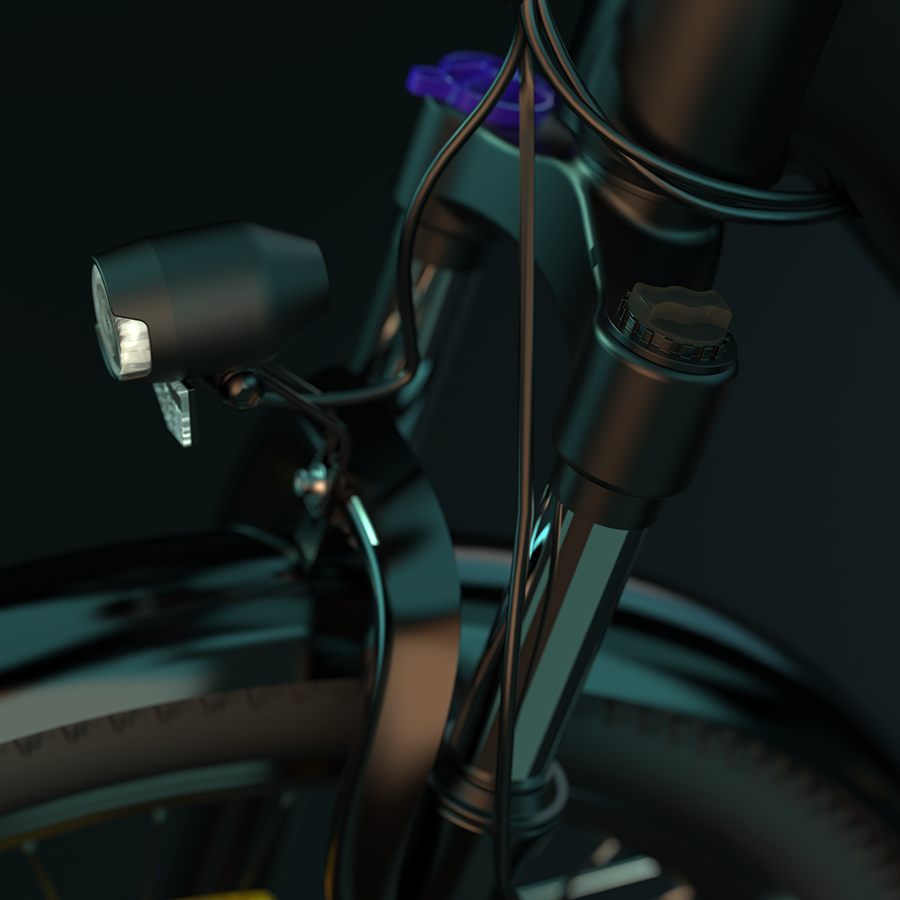 e-MTB 250W 100km range