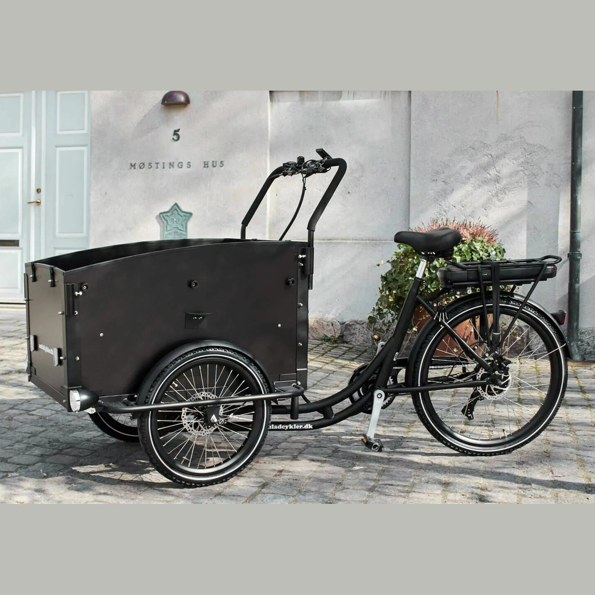 AMCargoBikes Ultimate Curve Cargo Electric Tricycle - Sable and Grace LTD.