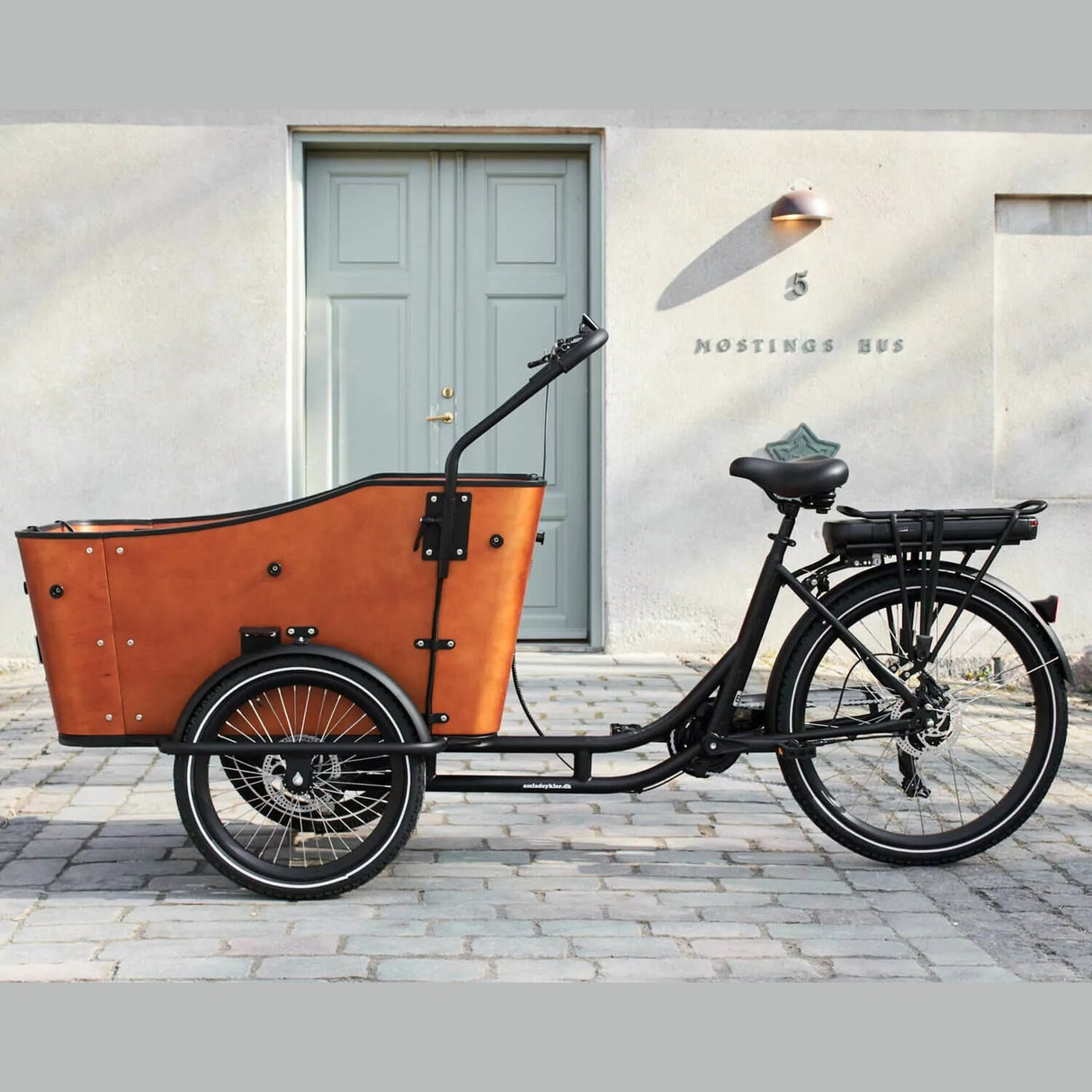 electric cargo bike with 250W motor