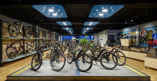 The Ultimate Guide to Choosing the Perfect eBike or eScooter for Your Lifestyle
