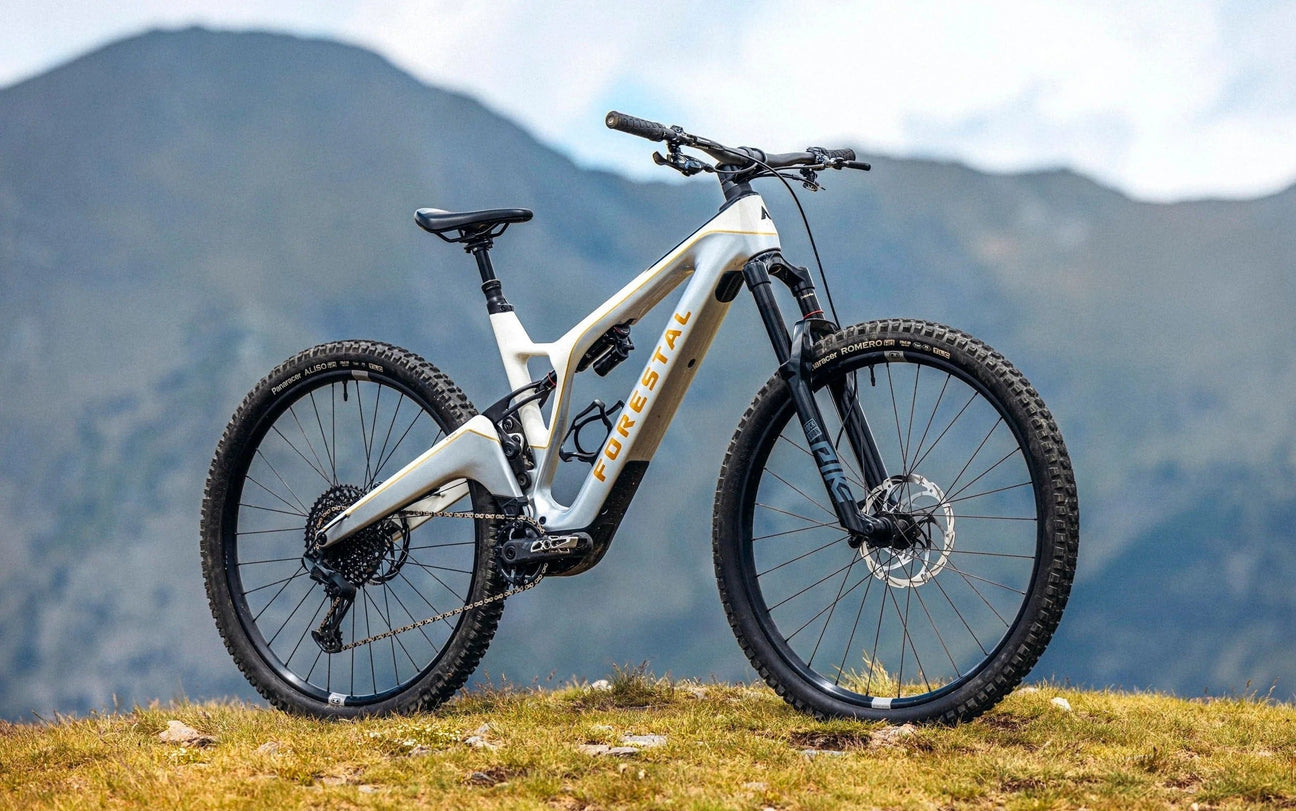 Mountain E-bikes