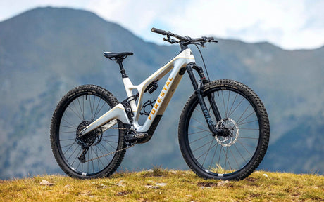 Mountain E-bikes