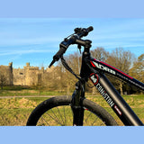 Dallingridge Coniston Black/Red - 14Ah 36V - Sable and Grace LTD.