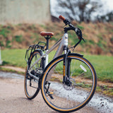 Dallingridge Malvern Silver Electric Bike - Gents - Sable and Grace LTD.