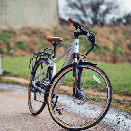 Dallingridge Malvern Silver Electric Bike - Gents - Sable and Grace LTD.