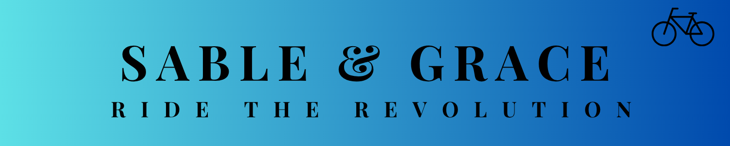 dual battery e-bike UK