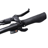 Aarhus Electric Bike 2025- City - 25 km/hr | up to 80 km Range | 250W Power | 14 Ah