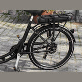 AMCargoBikes Ultimate Curve Cargo Electric Tricycle - Sable and Grace LTD.