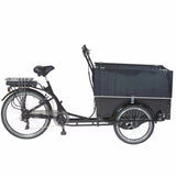 AMCargoBikes Curve Workman 2 Cargo Electric Tricycle - Sable and Grace LTD.