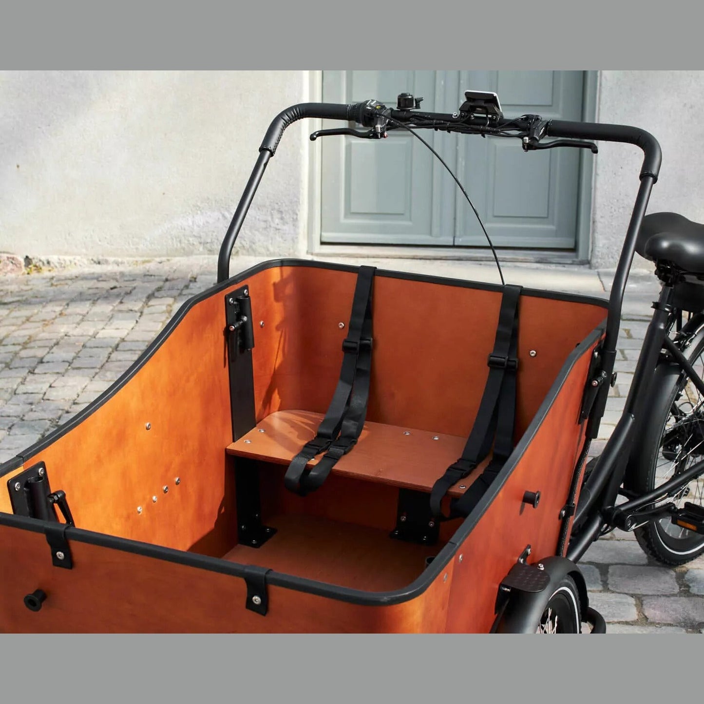 AMCargoBikes Ultimate Harmony Cargo Electric Tricycle - Sable and Grace LTD.