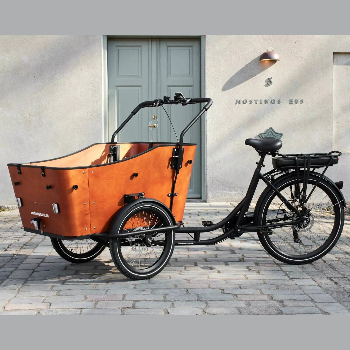 AMCargoBikes Ultimate Harmony Cargo Electric Tricycle - Sable and Grace LTD.