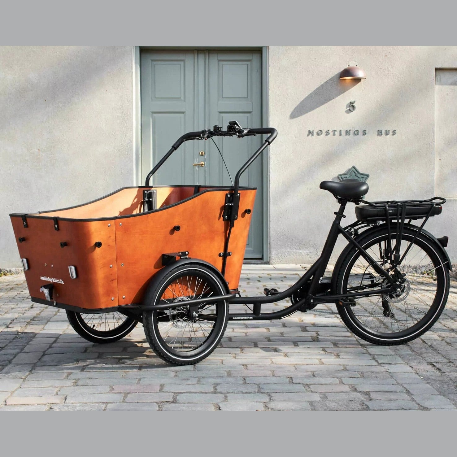 AMCargoBikes Ultimate Harmony Cargo Electric Tricycle - Sable and Grace LTD.